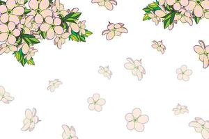 Illustration von das Kirsche Bossen Blume Strauß mit Blume fallen auf leeren Hintergrund. vektor