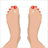 weiblich Füße mit rot Pediküre. Vektor Illustration im eben Stil om Weiß