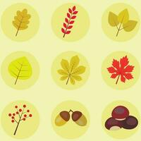 Herbst Blätter Pflanzen Symbole einstellen Vektor Illustration