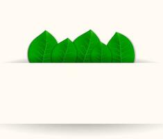 grön löv kort. löv i de ficka med plats för din text på vit bakgrund. vektor illustration, mall