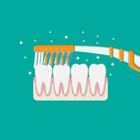 Zahnbürste reinigt Zähne. Bürsten Zähne. Dental Ausrüstung. Hygiene und Mundpflege. Vektor Illustration im eben Stil