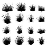 gräs element uppsättning samling vektor illustration