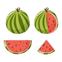 vattenmelon frukt uppsättning, vektor illustration. skivor och hela sommar tropisk frukt eller bär, grafisk design element. tecknad serie platt stil