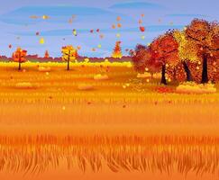 Herbst Natur Landschaft mit Wald und Feld. Vektor Illustration