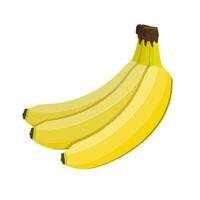 Bündel von Bananen isoliert auf Weiß. Banane frisch Frucht. Vektor Illustration im eben Stil