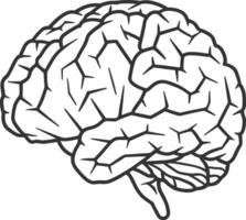 ein schwarz und Weiß Zeichnung von ein Mensch Gehirn vektor