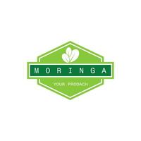 Moringa Logo Vektor Vorlage Symbol Natur