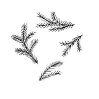 Vektor handgemalt schwarz und Weiß Illustration von Weihnachten Baum Geäst. Gekritzel Weihnachten Baum Geäst auf ein Weiß Hintergrund.