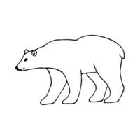 Hand gezeichnet Vektor schwarz und Weiß Illustration von ein Nord tragen. Polar- Bär Gekritzel auf ein Weiß Hintergrund.