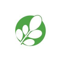 Moringa Logo Vektor Vorlage Symbol Natur