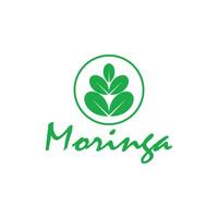 Moringa Logo Vektor Vorlage Symbol Natur