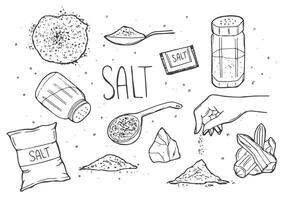 salt skiss. hand dra krydda, årgång skål sked med hav salt pulver. mat Ingredienser till laga mat, isolerat peppar shaker vektor illustration
