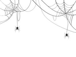 schwarz Spinne und Spinne Netz. unheimlich Spinnennetz von Halloween Symbol. isoliert auf Weiß Hintergrund. Vektor Illustration