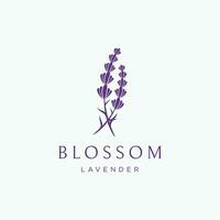 blomning lavendel- organisk blomma logotyp mall design. logotyp för kosmetika, skönhet, botanik, parfym och dekoration. vektor