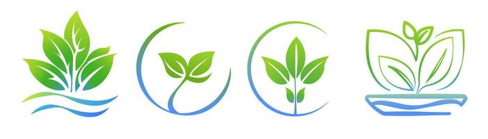 hydroponik aeroponic logotyp mall uppsättning 4 i 1, hälsa mat ikon, organisk vegetabiliska trädgård. miljövänlig växande. löv, blad logotyp. vektor illustration