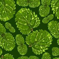 sömlös mönster med mynta kronblad på en grön bakgrund vektor