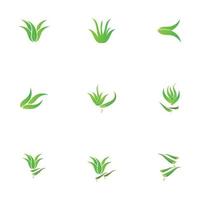 aloe vera-logotyp vektor