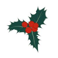 Stechpalme Zweig mit Beeren. Weihnachten Symbol. Vektor Illustration auf ein Weiß Hintergrund.