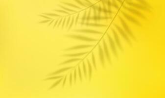 3d leeren Licht Studio abstrakt Hintergrund mit Scheinwerfer bewirken und tropisch Palme Blätter Schatten. Konzept zum Ihre Grafik Design Poster Banner und Hintergrund. 3d Wiedergabe. Vektor Illustration