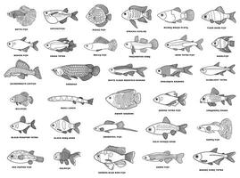 hand dragen vektor illustration ikon uppsättning av annorlunda fiskar med de namn ikon isolerat på vit bakgrund