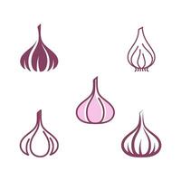 Knoblauch Vektor Symbol Illustration Design