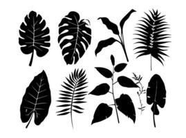uppsättning av svart silhuetter av löv och blommor. vektor illustration.