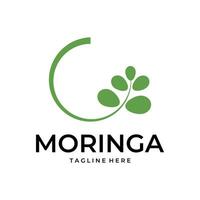 moringa blad logotyp vektor enkel illustration mall ikon grafisk design