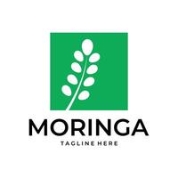 Moringa Blatt Logo Vektor einfach Illustration Vorlage Symbol Grafik Design