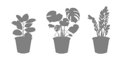 einstellen von Silhouetten von Innen- Pflanzen im ein Topf. zamiokulkas Dollar Baum, Ficus und Monstera Pflanze im Topf. Vektor Symbole von Innen- Blumen im eben Stil. Vektor Illustration.