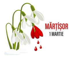 martisor, moldauisches und rumänisches traditionelles frühlingsfest. Blumenstrauß aus weißen und roten Schneeglöckchen. Blumenfrühlingshintergrund, Postkarte, Vektor