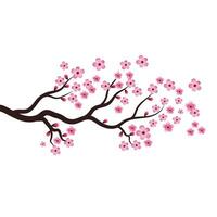 Sakura-Schönheitsblumen-Vektorsymbol vektor