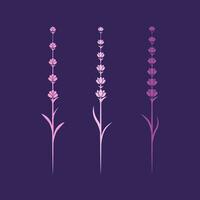 lavendel- blomma vektor ikon illustration