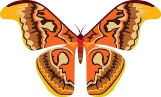 großes Schmetterlingsinsektentier vektor