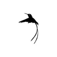 fliegend Kolibri Silhouette, können verwenden Kunst Illustration, Webseite, Logo Gramm, Piktogramm oder Grafik Design Element. Vektor Illustration