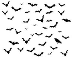 Fledermäuse schwarze Objekte Zeichen Vektorsymbole Illustration mit weißem Hintergrund vektor