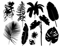 einstellen von schwarz Silhouetten von Blätter und Blumen. Vektor Illustration.