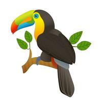 vektor illustration av en toucan Sammanträde på en gren i tecknad serie stil, isolerat på en vit bakgrund.