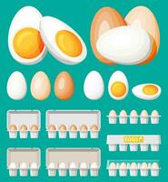 einstellen Eier im Karton Paket isoliert auf grün. Karikatur Weiß und braun Ei Symbol im Tablett. Molkerei Essen und Lebensmittelgeschäft. Ostern Attrappe, Lehrmodell, Simulation Konzept. eben Vektor Illustration.