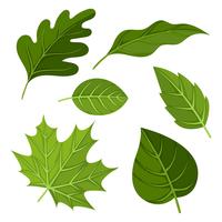 Gröna blad Clipart Ställ vektor