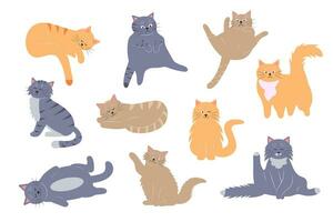 Fett komisch Katzen Satz. Karikatur Katze Zeichen im anders Posen. süß Haustier Sammlung. vektor