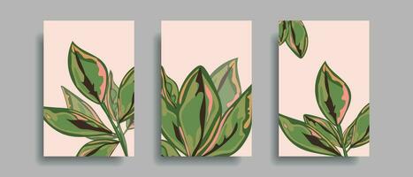 Mauer Plakate mit botanisch Pflanzen. abstrakt Blätter zum Salon, Spa Design. vektor