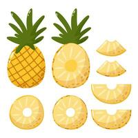 ananas uppsättning, hela och skivor, vektor illustration samling. säsong- frukter, sommar vitamin, friska mat begrepp. tecknad serie platt stil