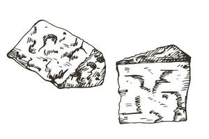 blå ost skiss vektor illustration hand ritade. två bitar av ost med gravyr dragen i bläck.mat ,mellanmål, design element för logotyp, märka, mall, skriva ut, papper, kort, meny