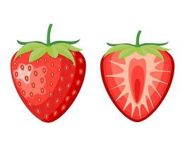 röd bär jordgubb och en halv av jordgubb isolerat på vit bakgrund. vektor illustration i platt stil
