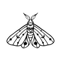 himmlisch Schmetterling Gekritzel Illustration. Hand gezeichnet schön Linie Kunst Schmetterling Tätowierung. diese Boho Schmetterling sind gut zum Design von mystisch Projekt, Karte und Poster Herstellung, Dekoration Kleidung, usw vektor