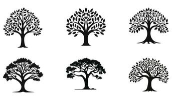 Öko Harmonie Baum Vektor bündeln