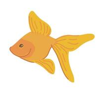 Vektor Illustration von golden Aquarium Fisch. bunt Karikatur Haustier Symbol auf Weiß Hintergrund. hell Orange Fisch im eben Stil.