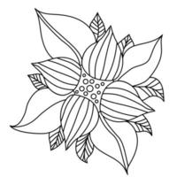 Liniendarstellung der dekorativen Blume vektor