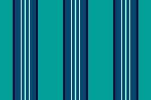 Vertikale Vektor Textur von Stoff Linien Streifen mit ein Textil- Muster Hintergrund nahtlos.