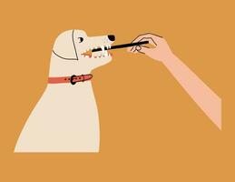 Eckzahn Dental Pflege und Hygiene. Labrador bekommen seine Zähne gereinigt mit ein Zahnbürste. Vektor Illustration im Hand gezeichnet Stil